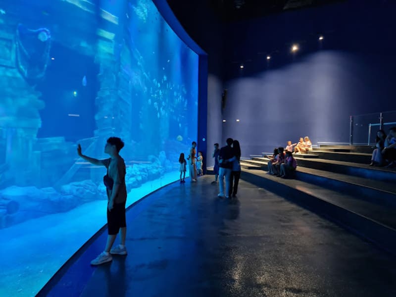 Thế giới đại dương tại Thủy cung Lotte với vẻ đẹp huyền ảo 11