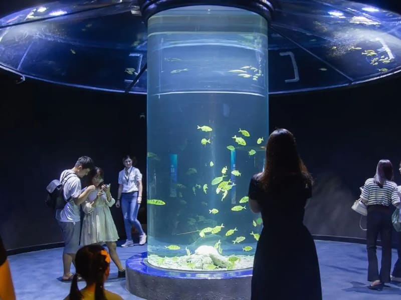 Thế giới đại dương tại Thủy cung Lotte với vẻ đẹp huyền ảo 9