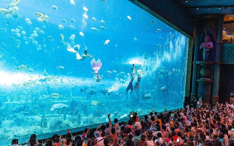 Thủy cung Phú Quốc: Đại dương thu nhỏ giữa lòng Vinpearl 5