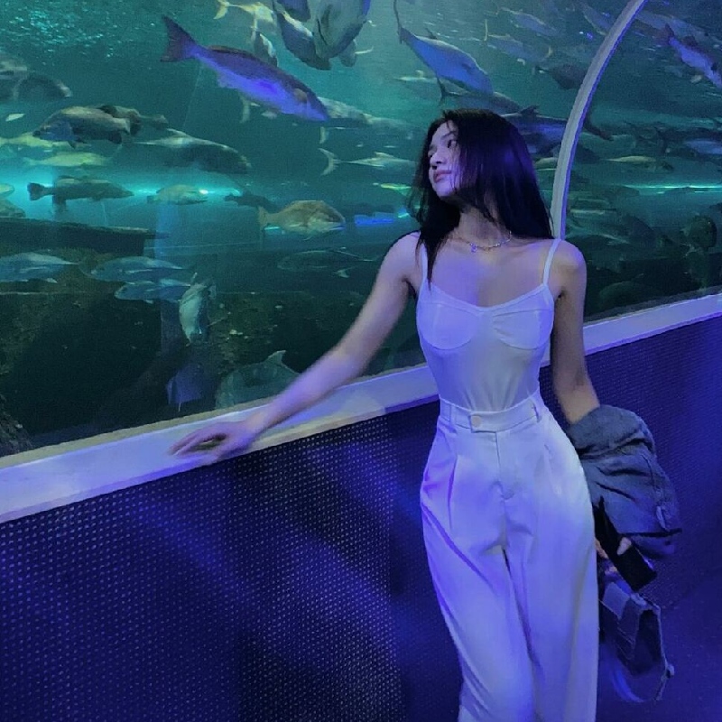 Thủy cung Phú Quốc: Đại dương thu nhỏ giữa lòng Vinpearl 8