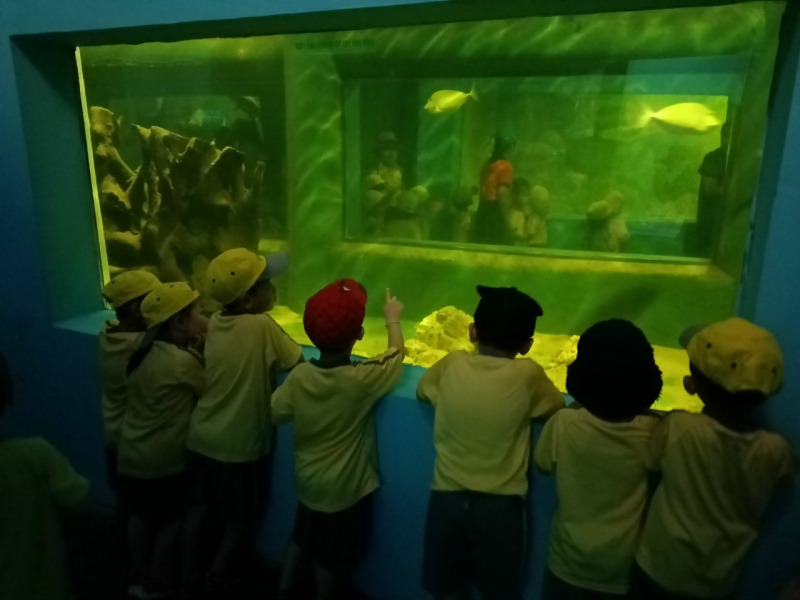 Khám phá thế giới đại dương thu nhỏ tại top 4 thủy cung Sài Gòn 7