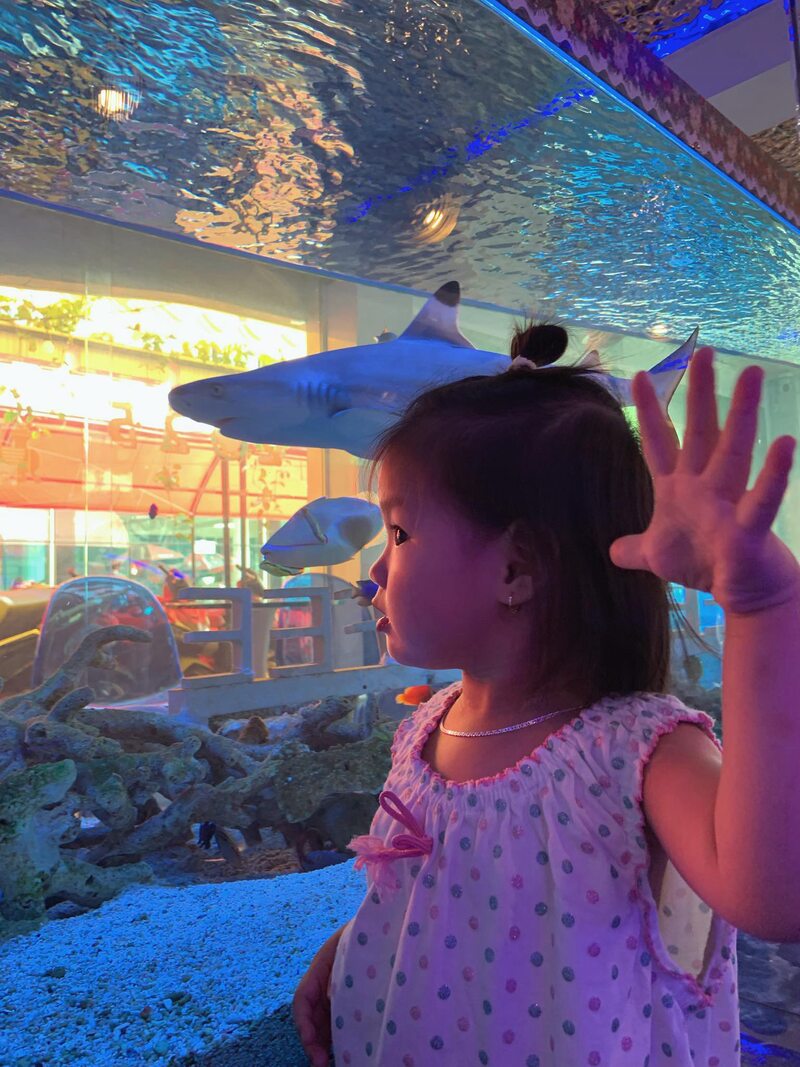 Khám phá thế giới đại dương thu nhỏ tại top 4 thủy cung Sài Gòn 3