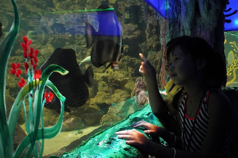 Khám phá thế giới đại dương thu nhỏ tại top 4 thủy cung Sài Gòn 4