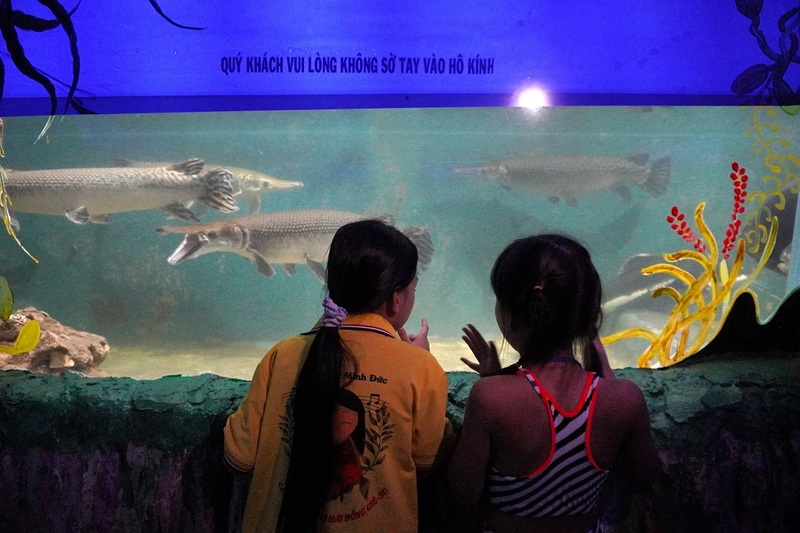 Khám phá thế giới đại dương thu nhỏ tại top 4 thủy cung Sài Gòn 5