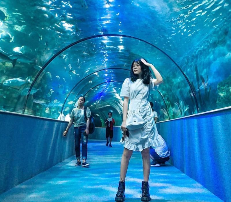 Thủy Cung Times City: Đại dương thu nhỏ giữa lòng thủ đô 4