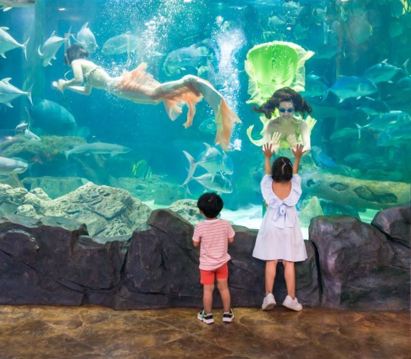 Thủy Cung Times City: Đại dương thu nhỏ giữa lòng thủ đô 5