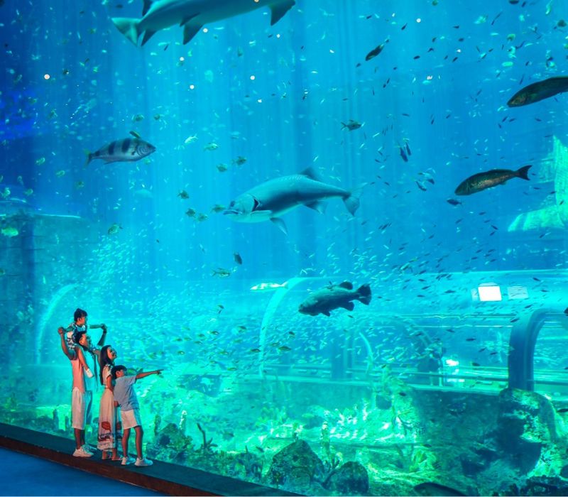 Thủy Cung Times City: Đại dương thu nhỏ giữa lòng thủ đô 7