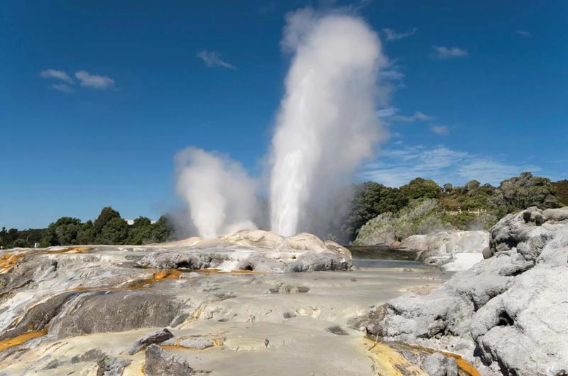 Khám phá Rotorua, thành phố độc đáo và kỳ lạ của New Zealand 3