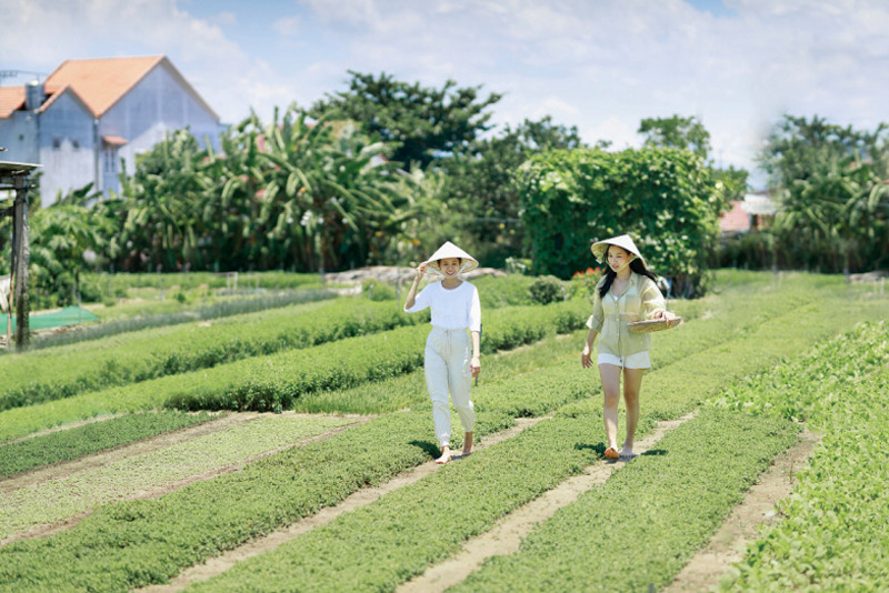 Đến TIA Wellness Resort khám phá dịch vụ spa đẳng cấp Châu Á 18