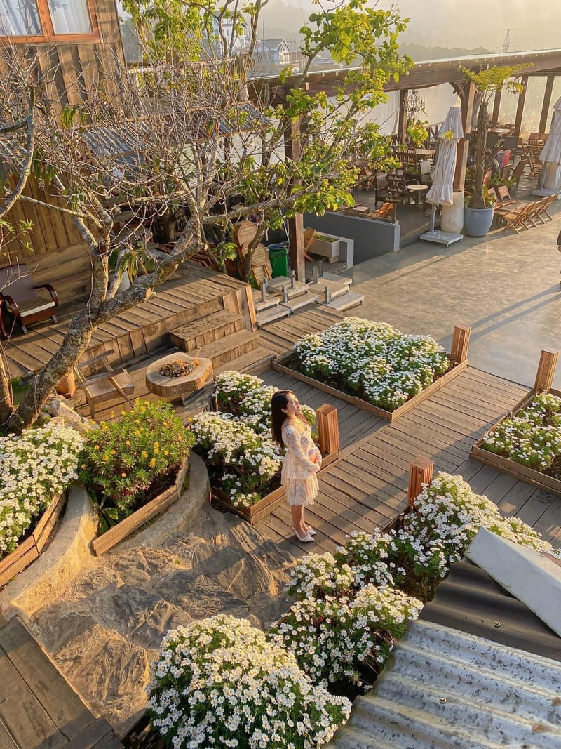 Top 15 quán cafe Đà Lạt xinh đẹp, mộng mơ nhất 5