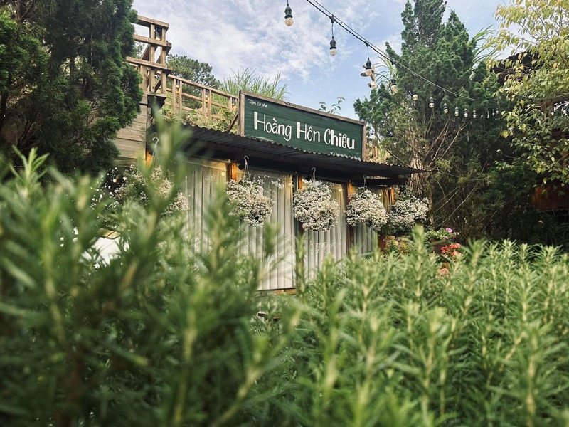 Top 15 quán cafe Đà Lạt xinh đẹp, mộng mơ nhất 6