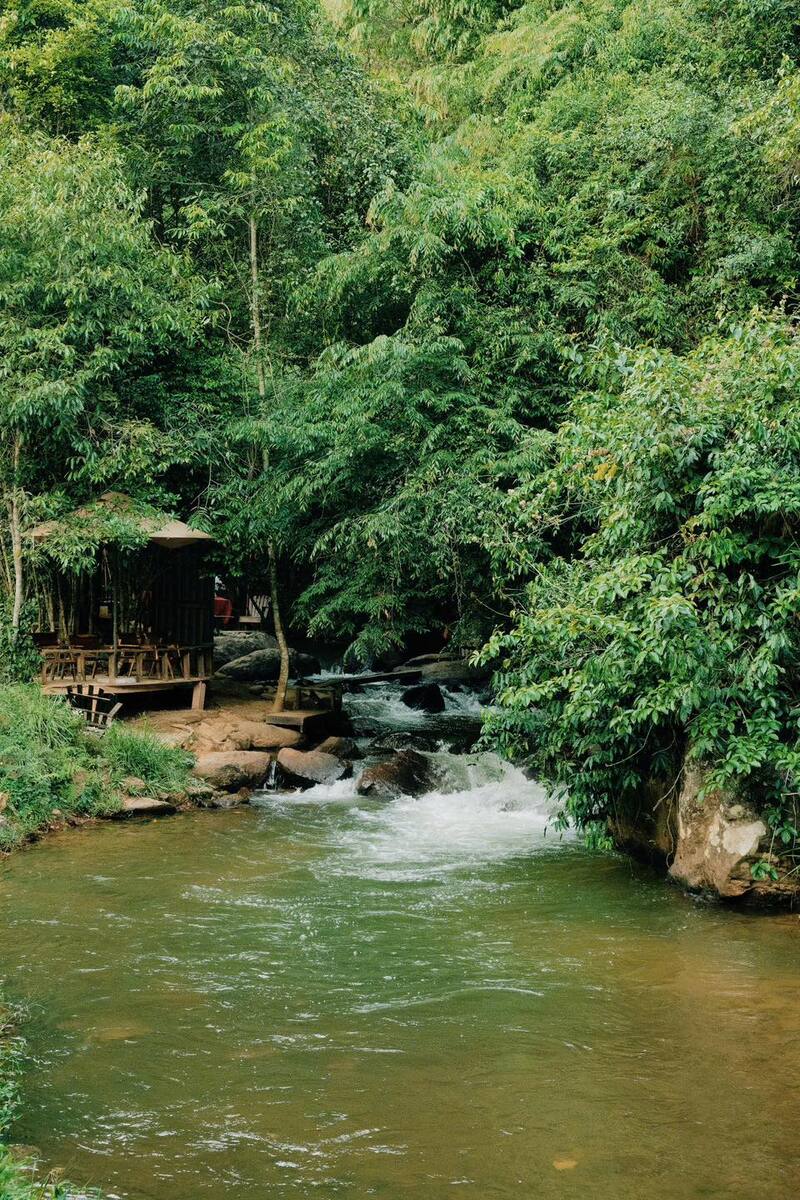 Ghé đến Tiệm cà phê Nhà Bên Suối hòa mình vào thiên nhiên 7
