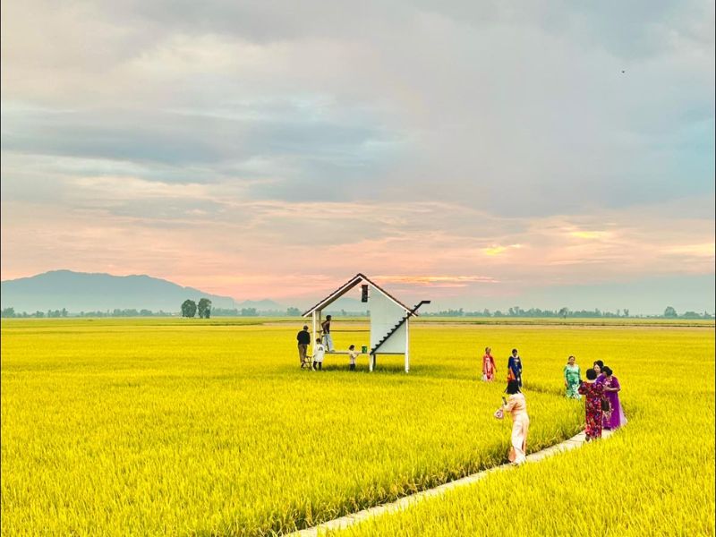 Tiệm cà phê Nhà Quê: Hơi thở bình yên giữa cánh đồng An Giang 5