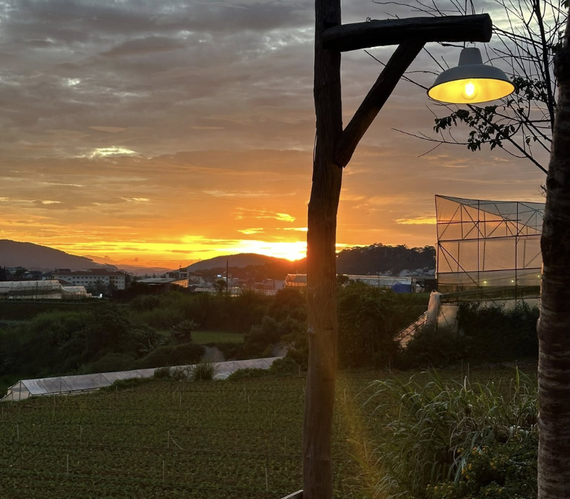 Tiệm cafe Người Thương Ơi giữa lòng Đà Lạt có gì đặc biệt? 4