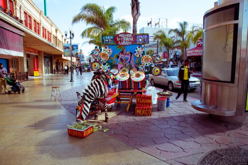 Tijuana Mexico vùng biên giới sầm uất nhất thế giới 3