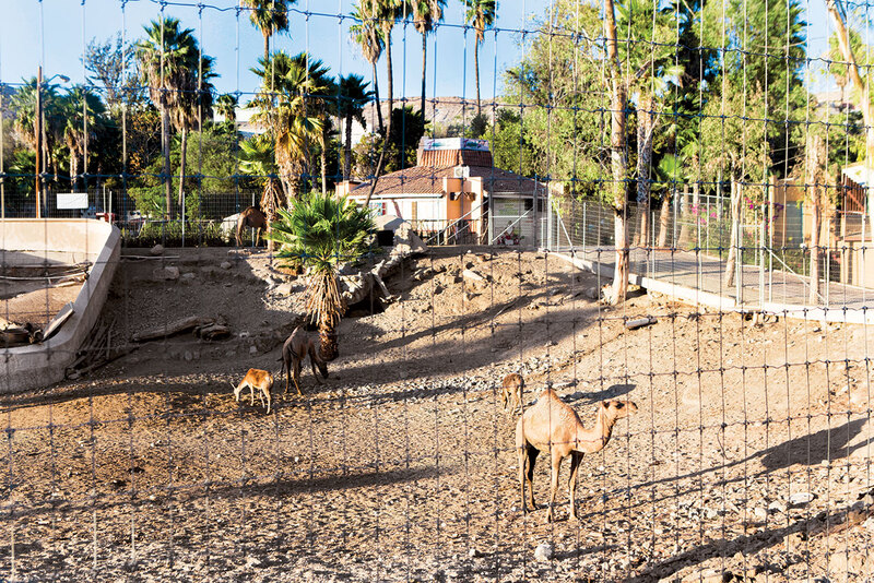 Tijuana Mexico vùng biên giới sầm uất nhất thế giới 7