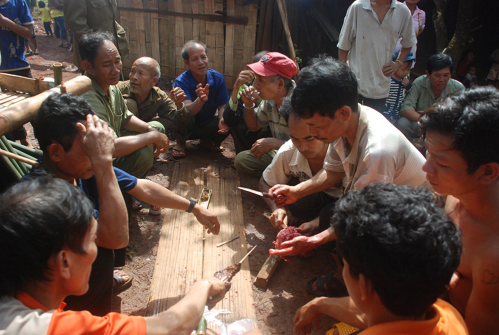 Tìm hiểu Lễ hội đâm trâu mừng lúa mới tại Bình Phước 7