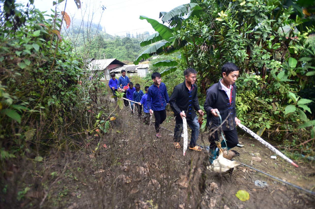 Tìm hiểu về người Phù Lá ở Hoàng Su Phì - Hà Giang 3