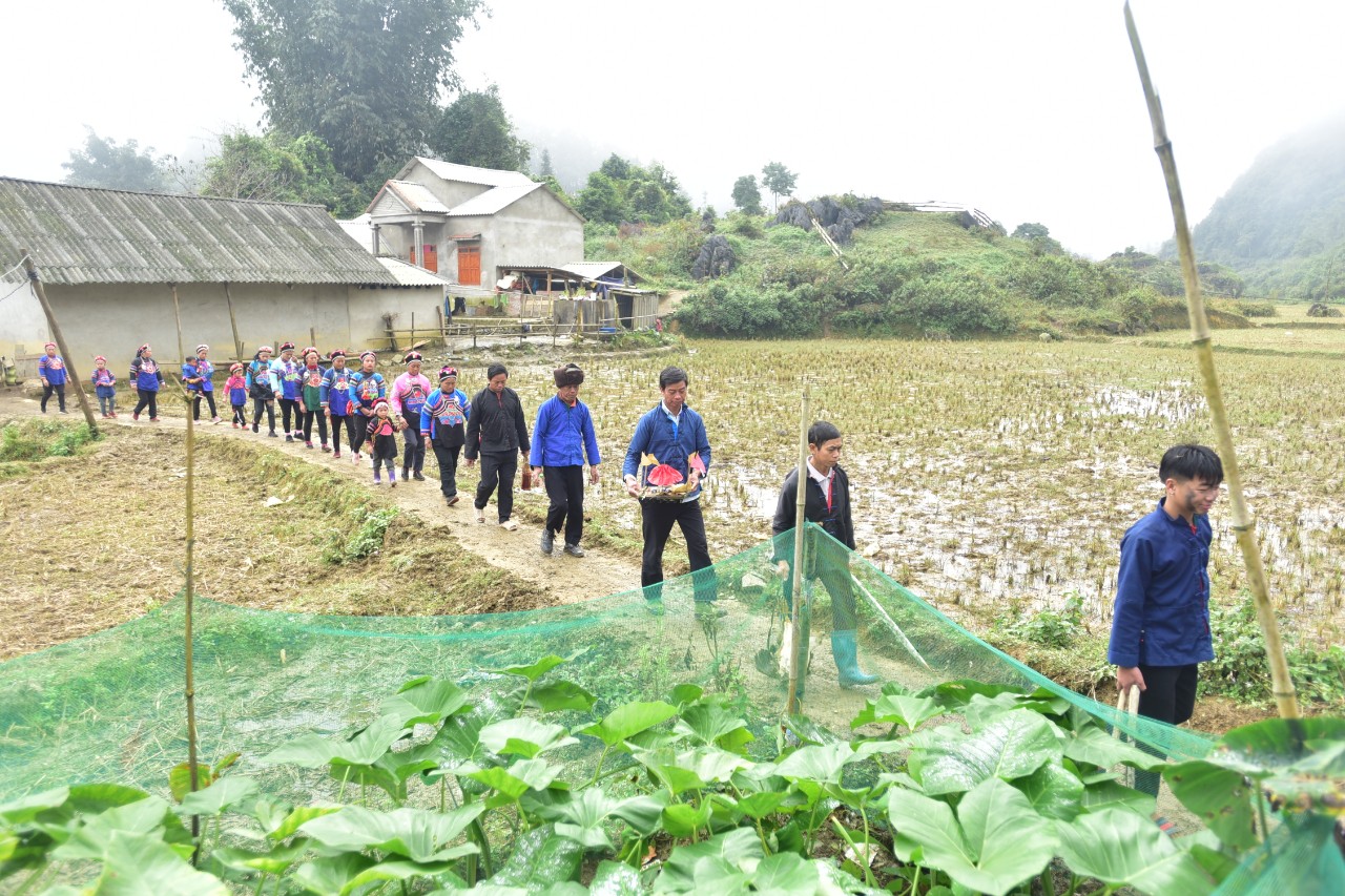 Tìm hiểu về người Phù Lá ở Hoàng Su Phì - Hà Giang 10