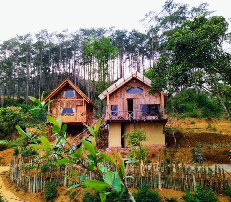 Tìm về bình yên tại Rosie Garden Măng Đen đẹp mê ly
