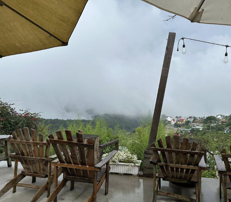 Tổ Chim Homestay Coffee Đà Lạt có gì đặc biệt? 4