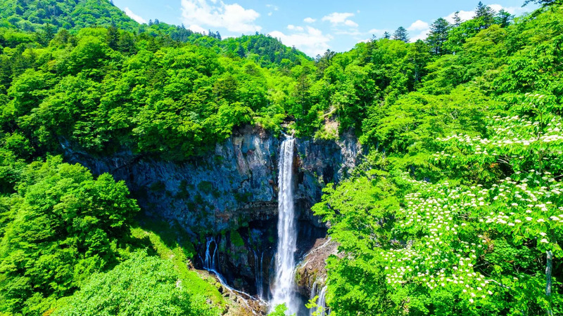 Chinh phục tỉnh Tochigi với những điểm đến không thể bỏ lỡ 12