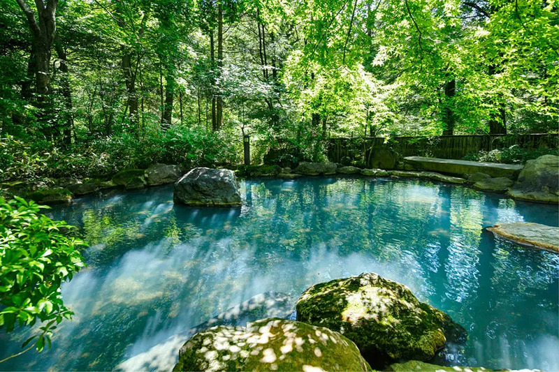 Chinh phục tỉnh Tochigi với những điểm đến không thể bỏ lỡ 16