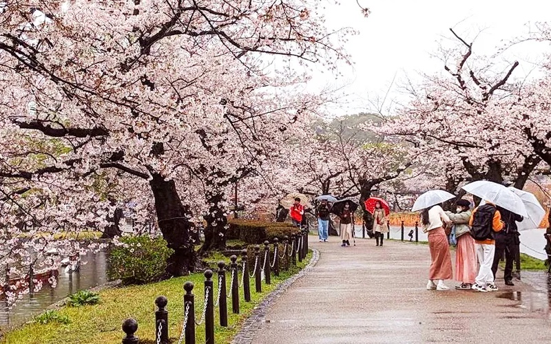 Kinh nghiệm du lịch Tokyo tự túc chi tiết năm 2026 12