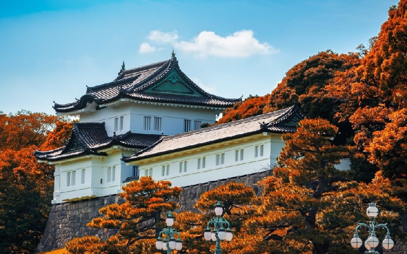Kinh nghiệm du lịch Tokyo tự túc chi tiết năm 2026 5