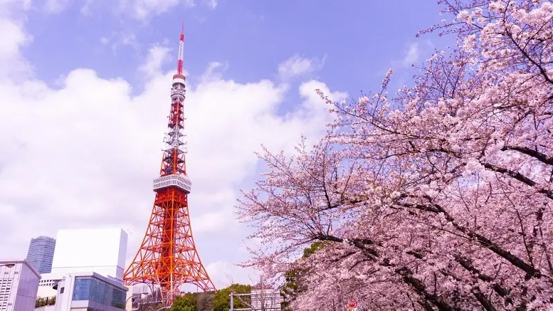 Kinh nghiệm du lịch Tokyo tự túc chi tiết năm 2026 6