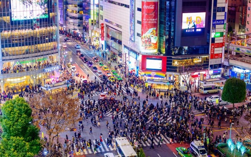 Kinh nghiệm du lịch Tokyo tự túc chi tiết năm 2026 8