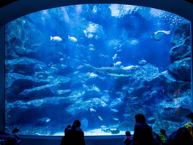 Chiêm ngưỡng Tokyo Skytree: Tòa tháp cao nhất Nhật Bản 7