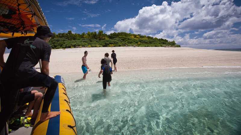Tonga là nước nào? Một vương quốc giữa châu Đại Dương 9