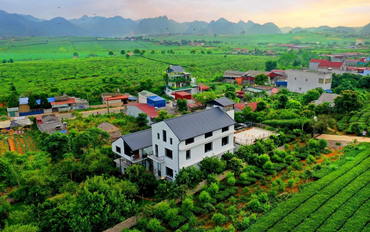 Top 3 homestay Mộc Châu view đồi chè đầy thơ mộng