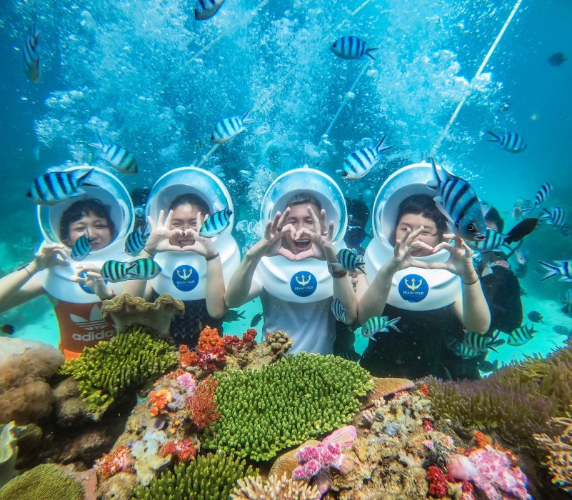 Top 4 địa điểm lặn biển Nha Trang mang đến thế giới đại dương diễm lệ