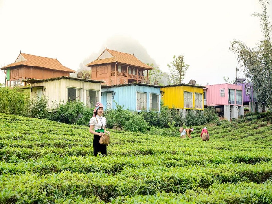 Top 4 resort Mộc Châu giá rẻ để nghỉ dưỡng không lo cháy túi 2