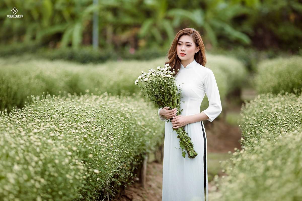 Top 5 địa điểm chụp hình cúc họa mi ở Hà Nội đẹp ngất ngây 7