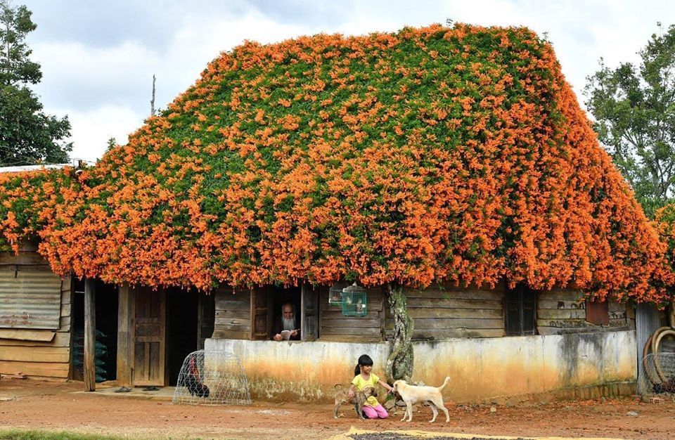 Top các điểm tham quan Bảo Lộc bạn không nên bỏ lỡ 4