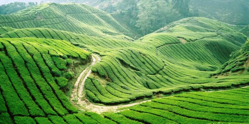 Gợi ý 6 tour du lịch 2/9 lý tưởng cho dịp 80 năm Quốc khánh 6