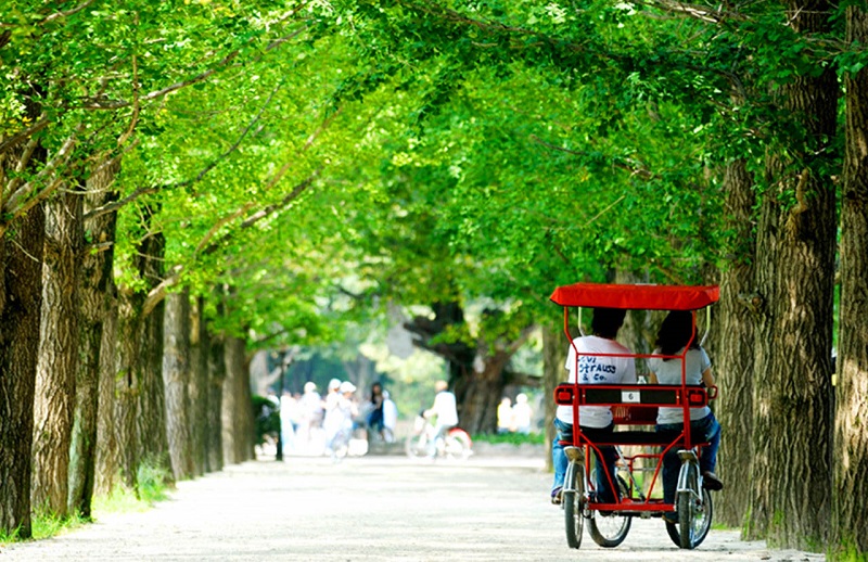 Lịch trình tour du lịch Hàn Quốc 4 ngày 3 đêm vòng quanh Seoul 3