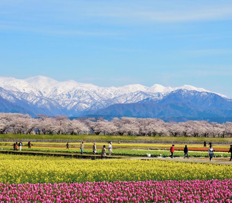 Khám phá Toyama, từ dãy Alps Nhật Bản đến những ngôi làng cổ kính 11