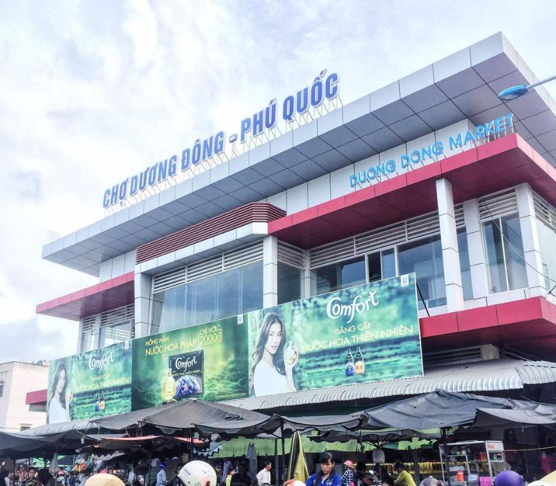 Trà Sâm Biển Phú Quốc: 'Thần dược' thanh mát và kinh nghiệm mua làm quà 6