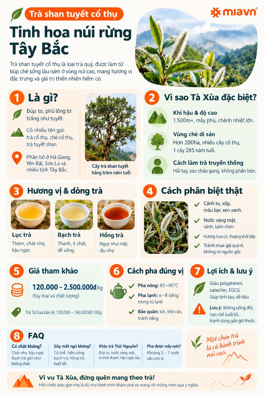 Trà shan tuyết cổ thụ và những công dụng hữu ích mang lại 2