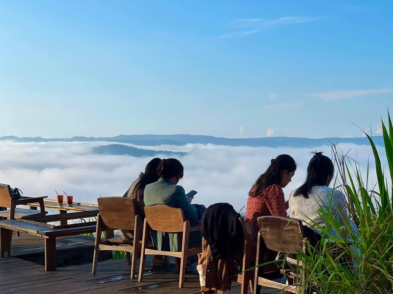Review Trại Mát Đà Lạt: Nơi thôn dã giữ hồn phố núi 7