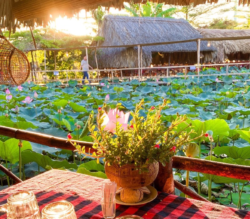 Trải nghiệm khu ẩm thực sinh thái Sen Nam Bộ giữ lòng Sài Gòn