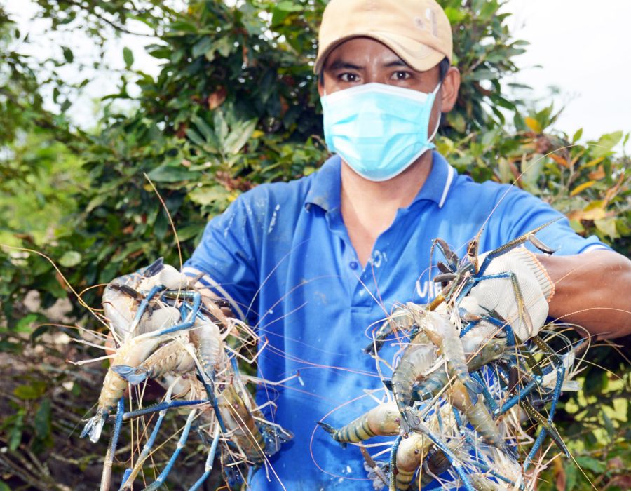 Trải nghiệm Làng nghề làm bánh phồng tôm Hàng Vịnh cùng MIA.vn 2