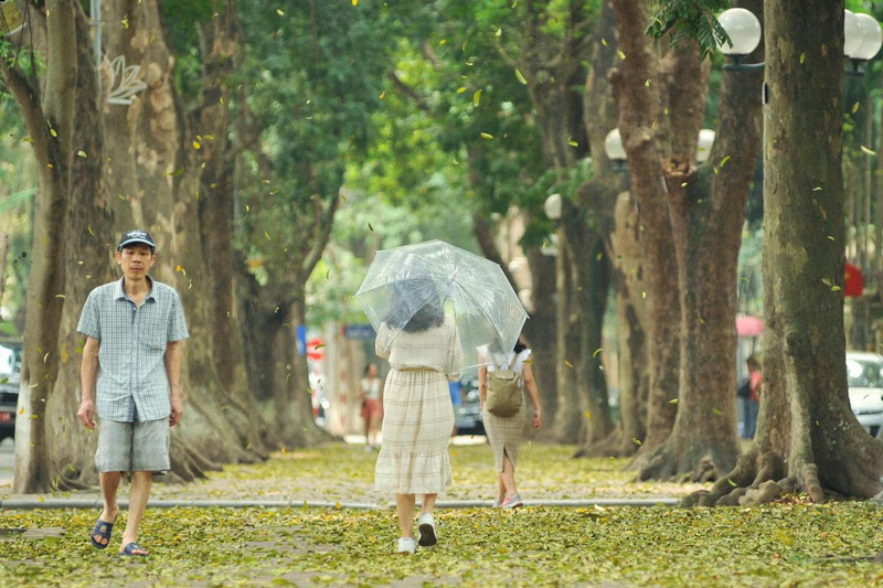 Trải nghiệm mùa thu Hà Nội với các hoạt động giản đơn, bình dị 4