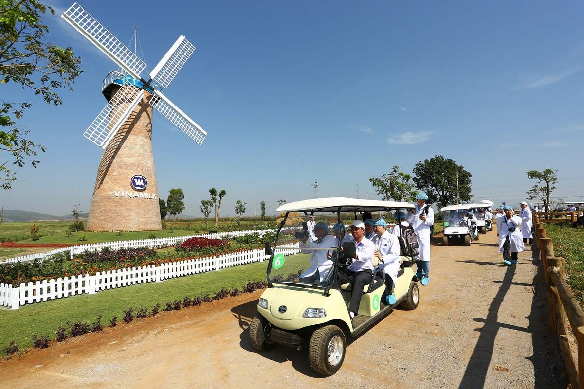 Trải nghiệm tại nông trại đạt chuẩn châu Âu Vinamilk Organic Milk Farm 5