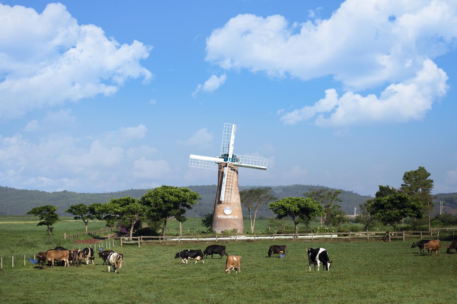 Trải nghiệm tại nông trại đạt chuẩn châu Âu Vinamilk Organic Milk Farm 8