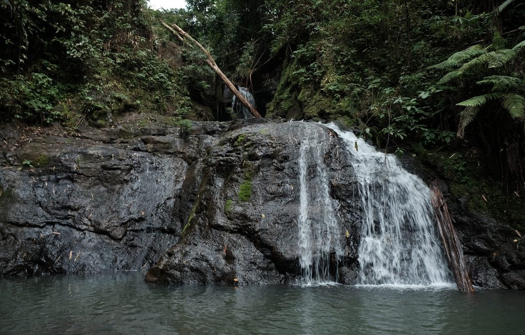 Trải nghiệm Trekking Bù Gia Mập 3N2Đ, lịch trình tự túc dành cho tín đồ du lịch 3